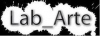 Посмотреть все товары Lab Arte