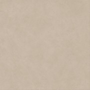Керамическая Плитка Atlas Concorde Boost natural ash 120x120