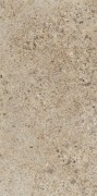 Beige Matt R10 Ftsl 120x60 мм