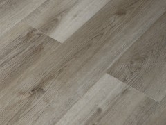 6eqnedl_var2
