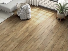 406kebp_var2