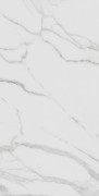 mcogs3t_var2