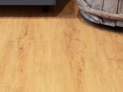 jpgoym4_var2