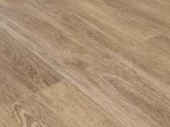 wfvpaw6_var2