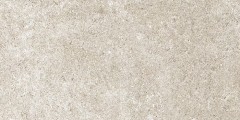 Stone L 59,6X120 1200x596 мм