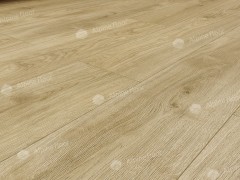 vq2odl9_var2