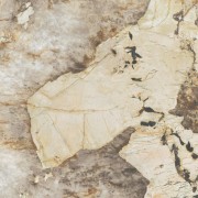 Керамическая Плитка Atlas Concorde Marvel desert soul 120x120 lappato