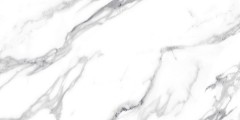 sfdw4g8_var2