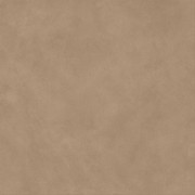Керамическая Плитка Atlas Concorde Boost natural coral 120x120