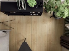 iib2swe_var2