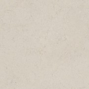 Bone 45X120 1200x450 мм