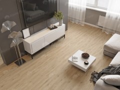 fzbopwa_var2