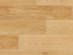 pfbun72_var2