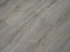 dgb130t_var2