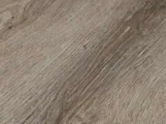 cspye28_var2