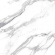 sngpkzc_var2