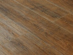 ejbf09g_var2