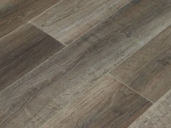uq5ppji_var2