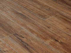 8fvfw36_var2