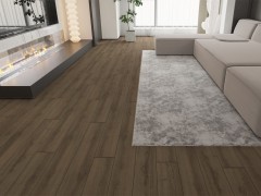 8t51cmq_var2