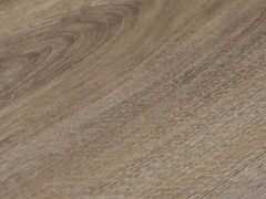 tgmct58_var2