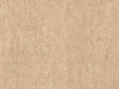 Линолеум Tarkett Beige 01