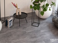 591ecp5_var2