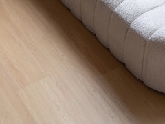 721fd96_var2