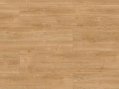 akc9ku9_var2