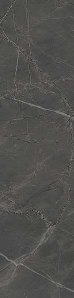 Керамическая Плитка Kerama Marazzi Sg316900r серый темный обрезной
