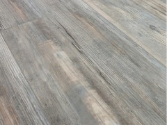 xjpmhcs_var2