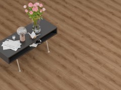 dymudkv_var2