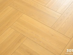 aa21eg5_var2