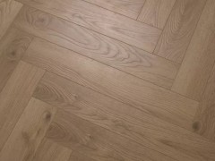 zaspo1l_var2