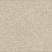 Taupe 59,6X150 1500x596 мм