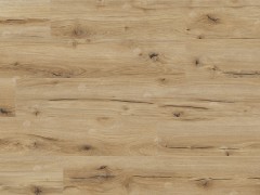 qornse5_var2